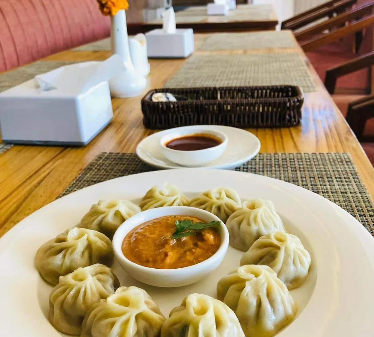 Hotel Nagarjun Palace Kathmandu